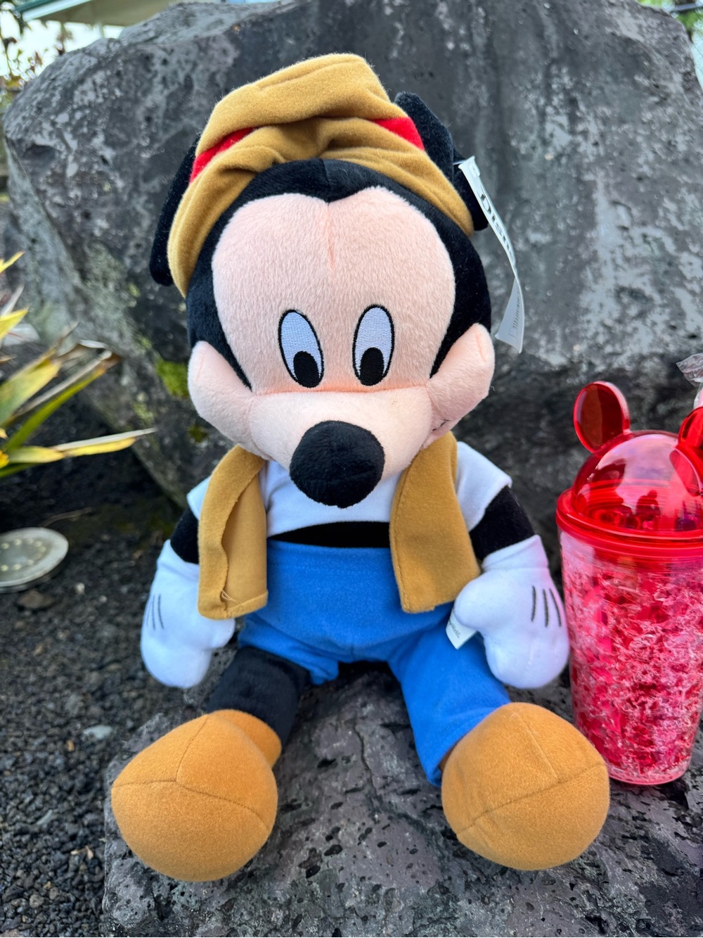 Disneyland Resort Mickey Mouse Plush & Mickey Ear Tumblers Bundle - Picture 4 of 9